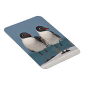 Paar van Black Headed Gulls Magneet (Rechterzijde)