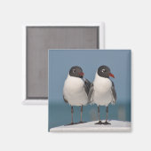 Paar van Black Headed Gulls Magneet (Voorkant / Achterkant)