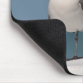 Paar van Black Headed Gulls Muismat (Hoek)