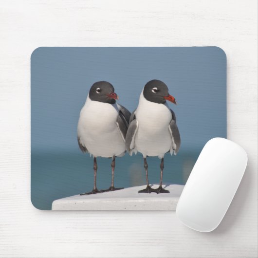 Paar van Black Headed Gulls Muismat (Met muis)