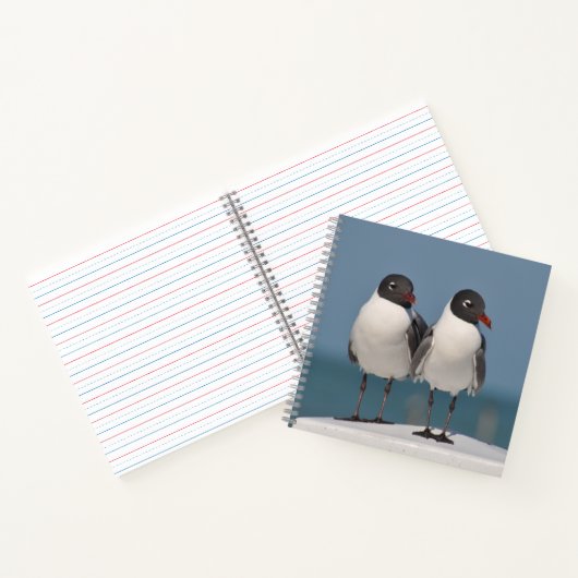 Paar van Black Headed Gulls Notitieboek (Binnen)