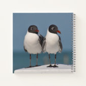 Paar van Black Headed Gulls Notitieboek (Achterkant)