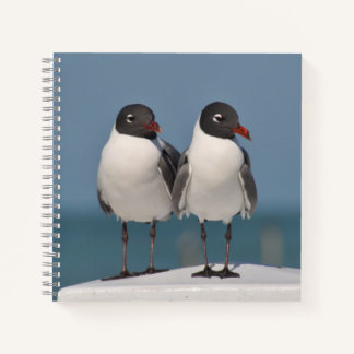 Paar van Black Headed Gulls Notitieboek