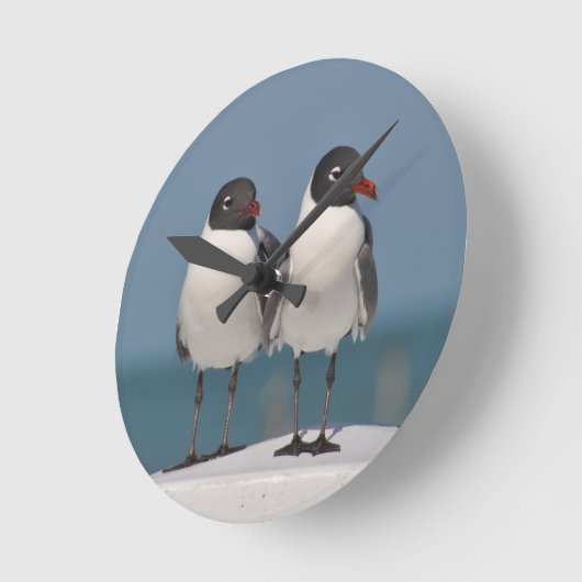 Paar van Black Headed Gulls Ronde Klok (Hoek)