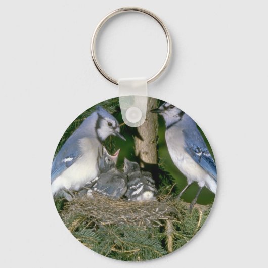 Paar van Blue Jays met jonge Sleutelhanger (Voorkant)