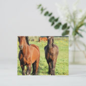 Paar van Briefkaart van organen (Staand voorkant)