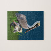 Paar van bruine pelikans,  legpuzzel (Horizontaal)