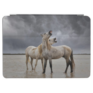 Paar van Camargue Horse Stallions, Zuid-Frankrijk iPad Air Cover