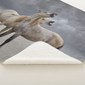 Paar van Camargue Horse Stallions, Zuid-Frankrijk Sherpa Deken (3/4)