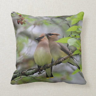 Paar van Cedar Waxwings Kussen