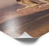 Paar van Cranes in de New Mexico Skies Foto Afdruk (Hoek)