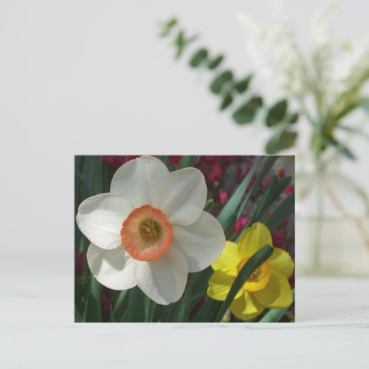 Paar van Daffodils Roze en Gele Lentbloemen Briefkaart (Staand voorkant)