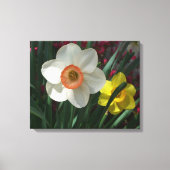 Paar van Daffodils Roze en Gele Lentbloemen Canvas Afdruk (Voorkant)