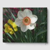 Paar van Daffodils Roze en Gele Lentbloemen Gastenboek (Achterkant)