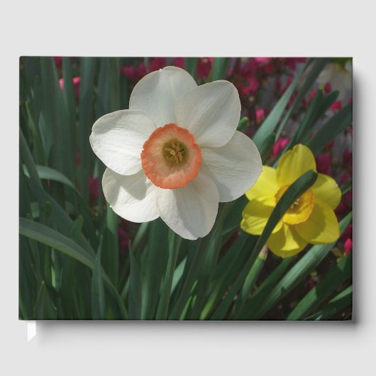 Paar van Daffodils Roze en Gele Lentbloemen Gastenboek (Voorkant)