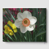 Paar van Daffodils Roze en Gele Lentbloemen Gastenboek (Achterkant)