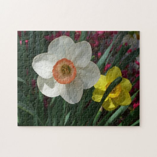Paar van Daffodils Roze en Gele Lentbloemen Legpuzzel (Horizontaal)