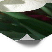 Paar van Daffodils Roze en Gele Lentbloemen Poster (Hoek)