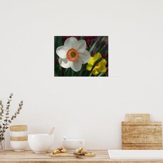 Paar van Daffodils Roze en Gele Lentbloemen Poster (Keuken)