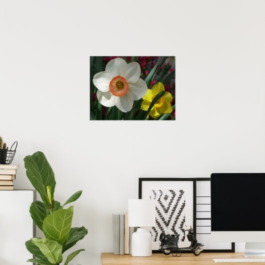 Paar van Daffodils Roze en Gele Lentbloemen Poster (Thuiskantoor)