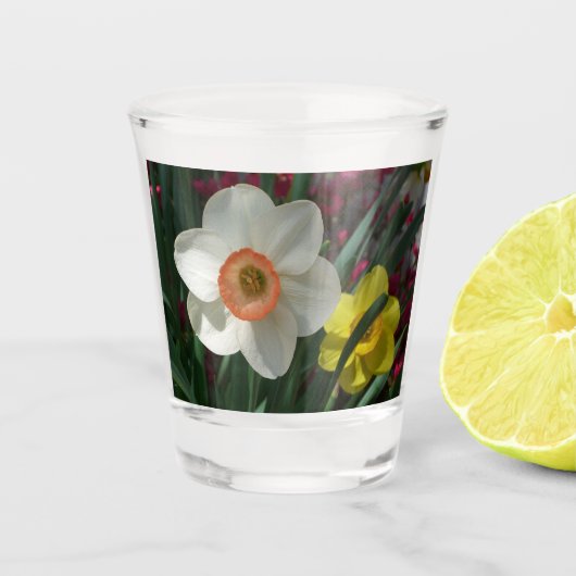 Paar van Daffodils Roze en Gele Lentbloemen Shot Glas (Voorkant)