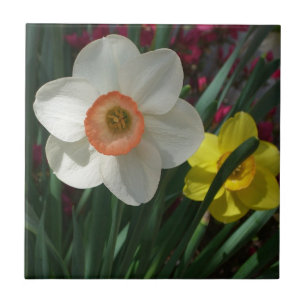 Paar van Daffodils Roze en Gele Lentbloemen Tegeltje