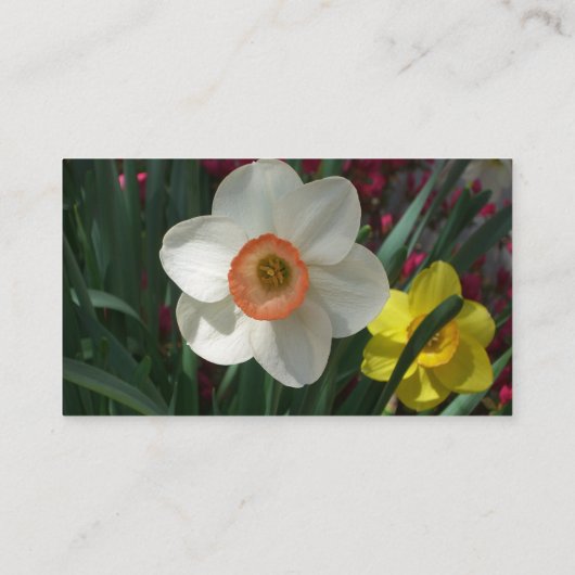 Paar van Daffodils Roze en Gele Lentbloemen Visitekaartje (Achterkant)