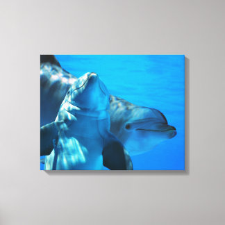 Paar van de Afbeelding van de Curieuze Dolphins Ga Canvas Afdruk