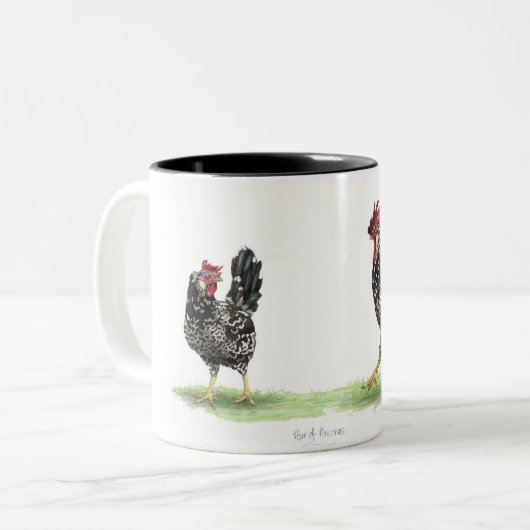 Paar van de Mok van Ancona Kippen. (Voorkant links)