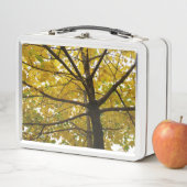 Paar van de Natuur van de herfst van de Gele Maple (In situ)