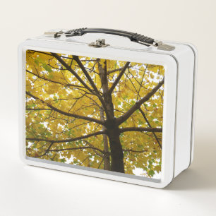 Paar van de Natuur van de herfst van de Gele Maple