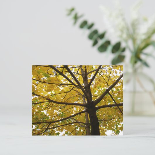 Paar van de Natuur van de herfst van de Gele Maple (Staand voorkant)