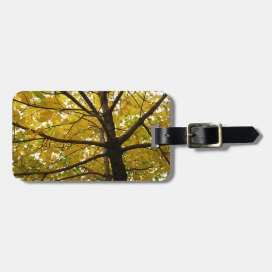 Paar van de Natuur van de herfst van de Gele Maple Bagagelabel (Voorkant horizontaal)