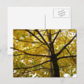 Paar van de Natuur van de herfst van de Gele Maple Briefkaart (Voorkant / Achterkant)