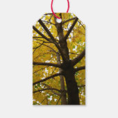 Paar van de Natuur van de herfst van de Gele Maple Cadeaulabel (Voorkant)