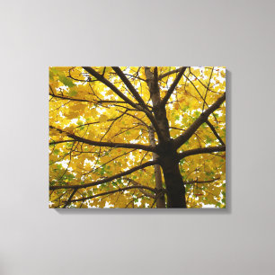 Paar van de Natuur van de herfst van de Gele Maple Canvas Afdruk