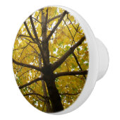 Paar van de Natuur van de herfst van de Gele Maple Keramische Knop (Rechts)