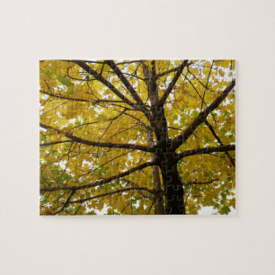 Paar van de Natuur van de herfst van de Gele Maple Legpuzzel