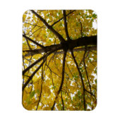 Paar van de Natuur van de herfst van de Gele Maple Magneet (Verticaal)