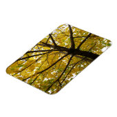 Paar van de Natuur van de herfst van de Gele Maple Magneet (Linkerzijde)