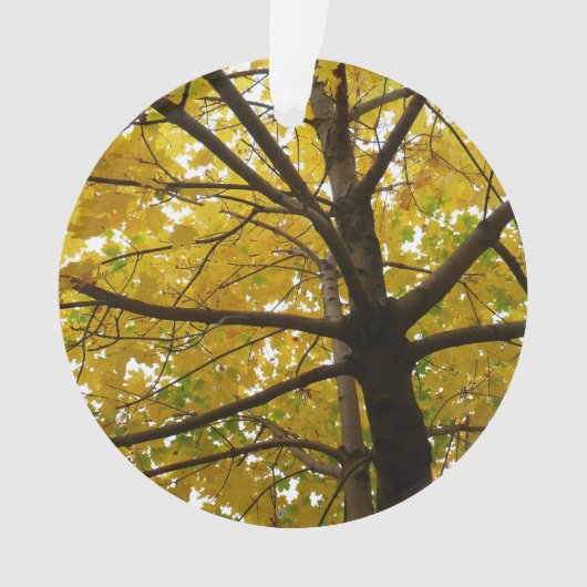 Paar van de Natuur van de herfst van de Gele Maple Ornament (voorkant)