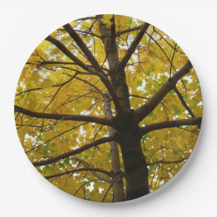 Paar van de Natuur van de herfst van de Gele Maple Papieren Bordje