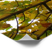 Paar van de Natuur van de herfst van de Gele Maple Poster (Hoek)