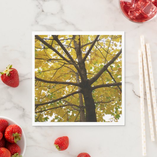 Paar van de Natuur van de herfst van de Gele Maple Servet (Insitu)