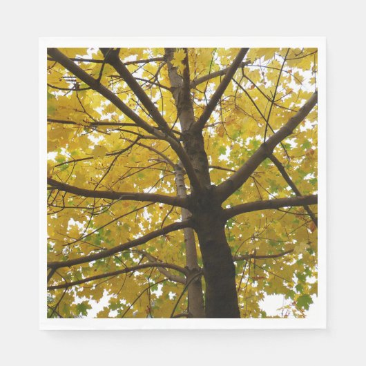 Paar van de Natuur van de herfst van de Gele Maple Servet (Voorkant)
