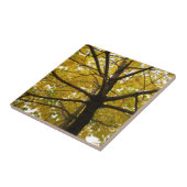 Paar van de Natuur van de herfst van de Gele Maple Tegeltje (Zijkant)