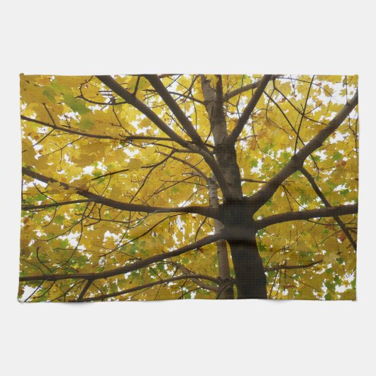 Paar van de Natuur van de herfst van de Gele Maple Theedoek (Horizontaal)