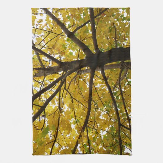 Paar van de Natuur van de herfst van de Gele Maple Theedoek (Verticaal)