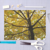 Paar van de Natuur van de herfst van de Gele Maple Tissuepapier (Craft)