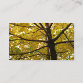 Paar van de Natuur van de herfst van de Gele Maple Visitekaartje (Achterkant)
